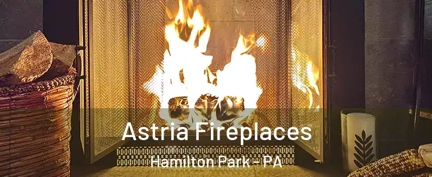 Astria Fireplaces Hamilton Park - PA