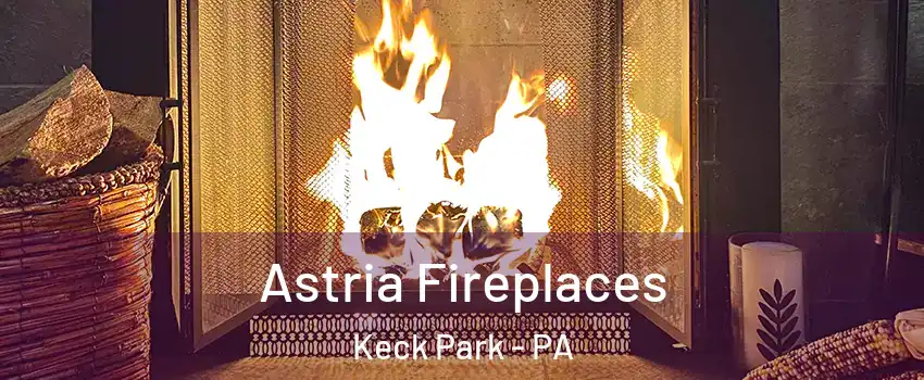 Astria Fireplaces Keck Park - PA