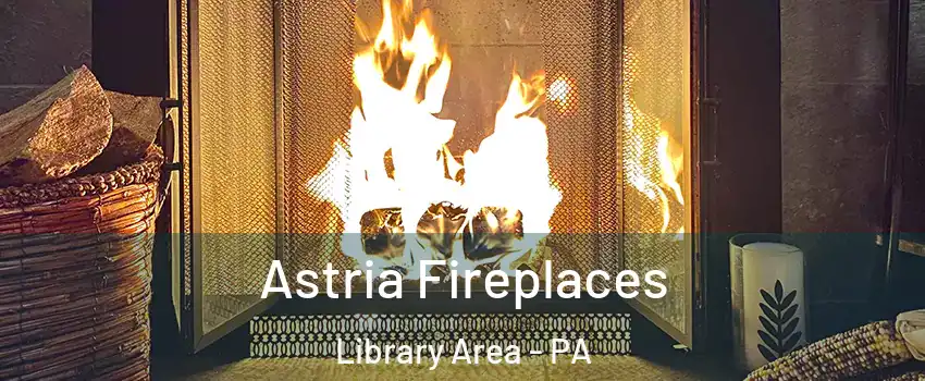 Astria Fireplaces Library Area - PA