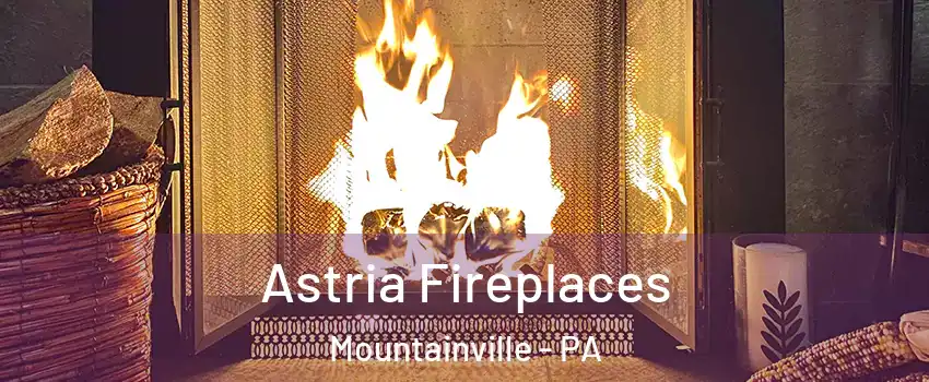 Astria Fireplaces Mountainville - PA