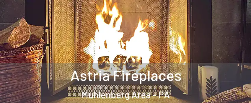 Astria Fireplaces Muhlenberg Area - PA