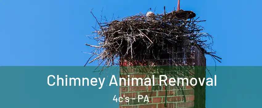 Chimney Animal Removal 4c's - PA