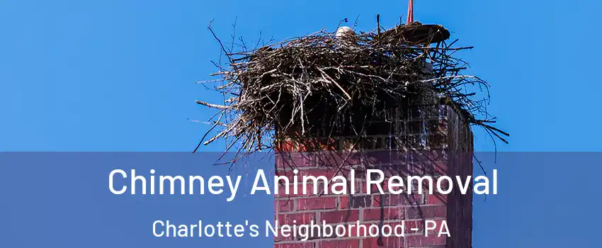 Chimney Animal Removal Charlotte's Neighborhood - PA