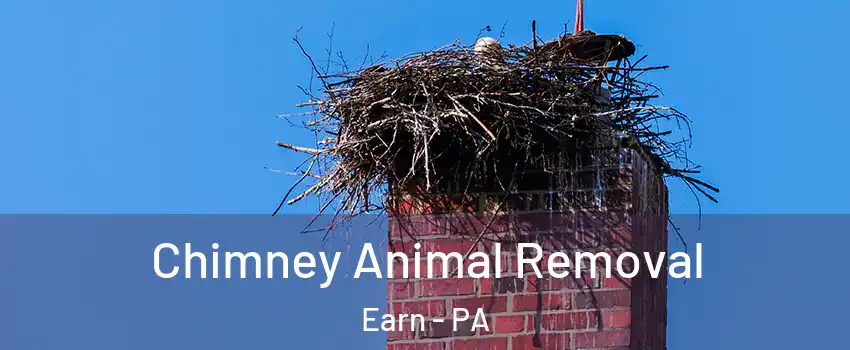 Chimney Animal Removal Earn - PA