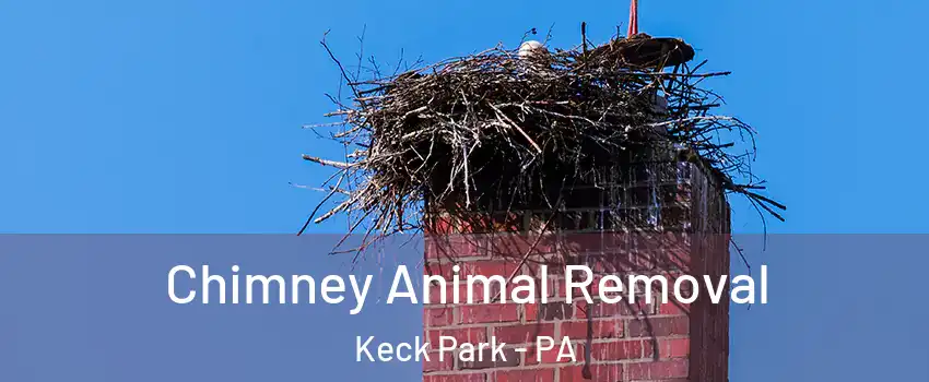 Chimney Animal Removal Keck Park - PA