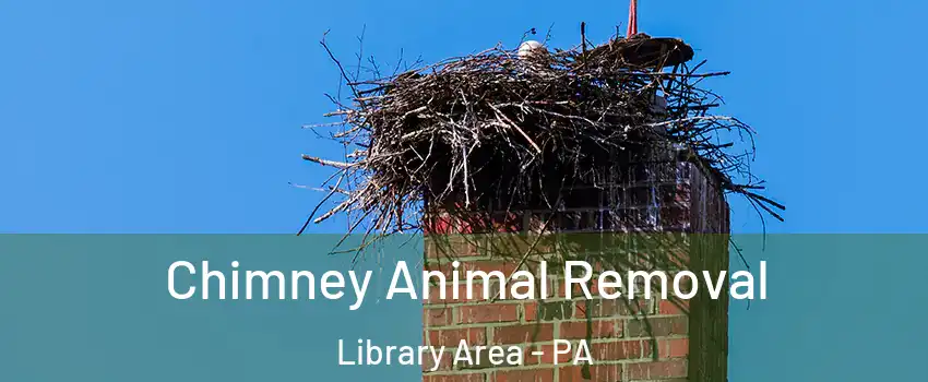 Chimney Animal Removal Library Area - PA