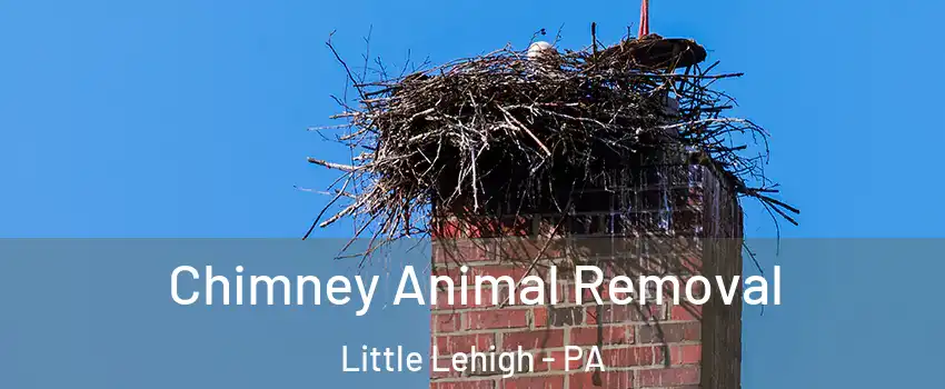 Chimney Animal Removal Little Lehigh - PA