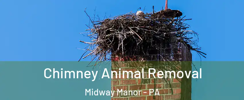 Chimney Animal Removal Midway Manor - PA