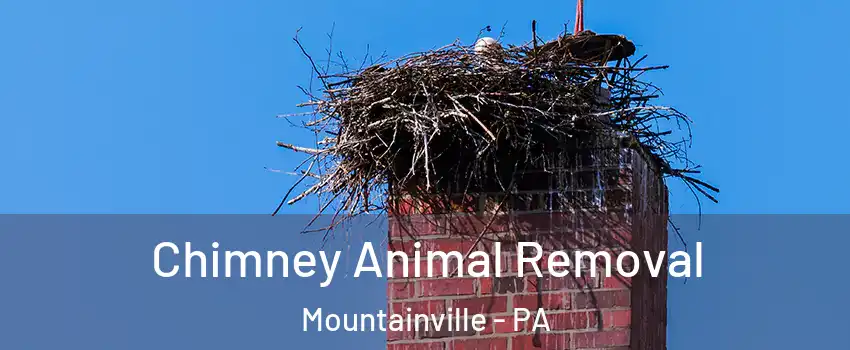 Chimney Animal Removal Mountainville - PA