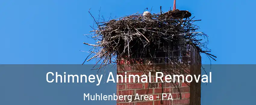 Chimney Animal Removal Muhlenberg Area - PA