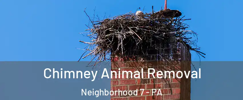 Chimney Animal Removal Neighborhood 7 - PA