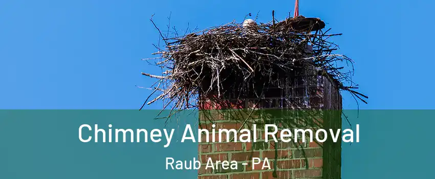 Chimney Animal Removal Raub Area - PA