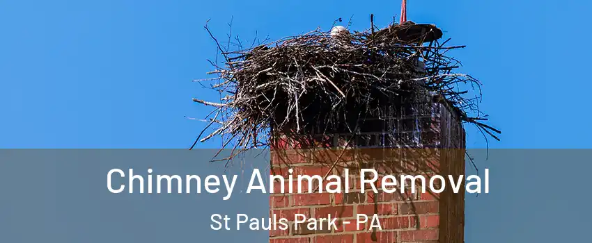 Chimney Animal Removal St Pauls Park - PA