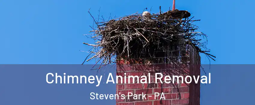 Chimney Animal Removal Steven's Park - PA