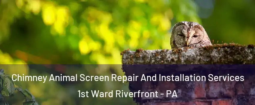 Chimney Animal Screen Repair And Installation Services 1st Ward Riverfront - PA