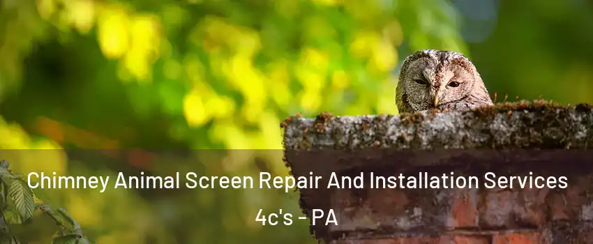 Chimney Animal Screen Repair And Installation Services 4c's - PA