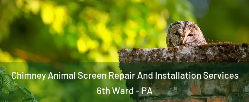 Chimney Animal Screen Repair And Installation Services 6th Ward - PA