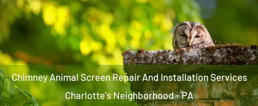 Chimney Animal Screen Repair And Installation Services Charlotte's Neighborhood - PA