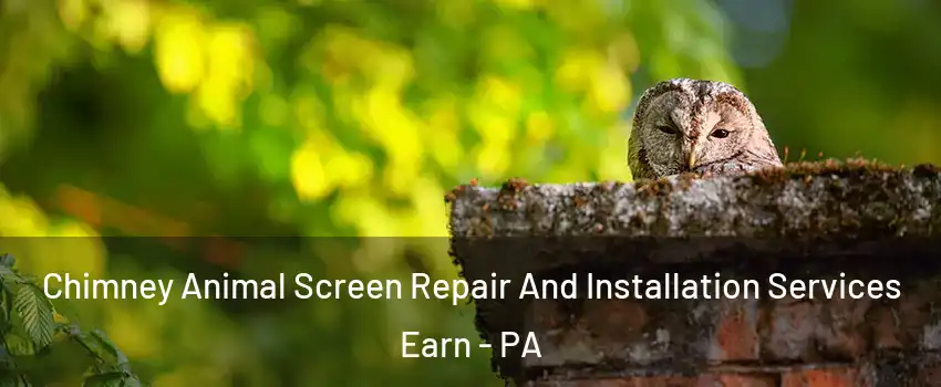 Chimney Animal Screen Repair And Installation Services Earn - PA