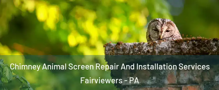 Chimney Animal Screen Repair And Installation Services Fairviewers - PA