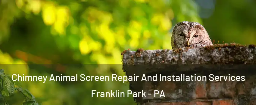 Chimney Animal Screen Repair And Installation Services Franklin Park - PA