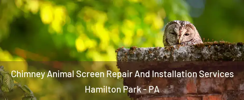 Chimney Animal Screen Repair And Installation Services Hamilton Park - PA