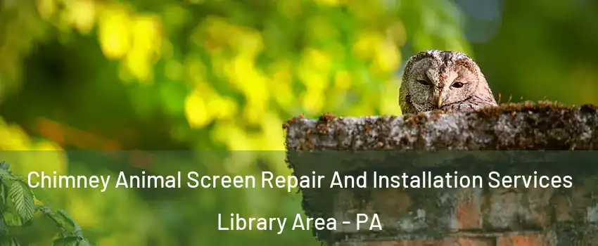 Chimney Animal Screen Repair And Installation Services Library Area - PA