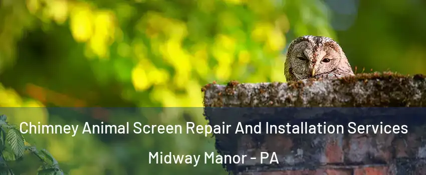 Chimney Animal Screen Repair And Installation Services Midway Manor - PA