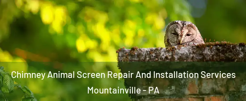 Chimney Animal Screen Repair And Installation Services Mountainville - PA