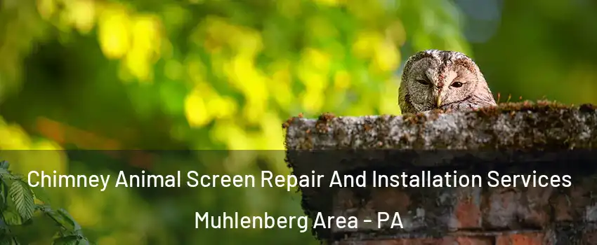 Chimney Animal Screen Repair And Installation Services Muhlenberg Area - PA