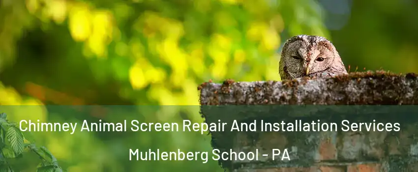 Chimney Animal Screen Repair And Installation Services Muhlenberg School - PA