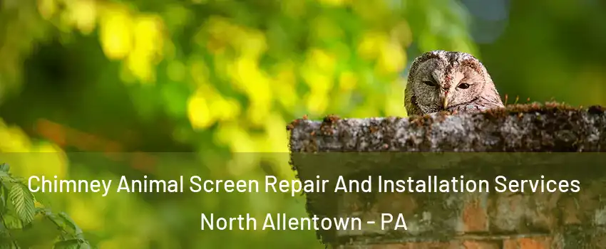 Chimney Animal Screen Repair And Installation Services North Allentown - PA