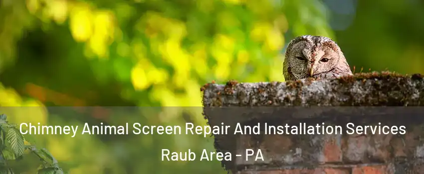 Chimney Animal Screen Repair And Installation Services Raub Area - PA