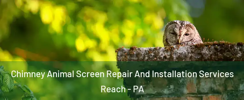 Chimney Animal Screen Repair And Installation Services Reach - PA