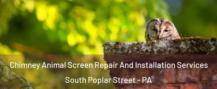 Chimney Animal Screen Repair And Installation Services South Poplar Street - PA