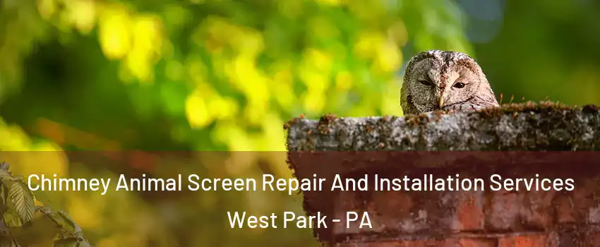 Chimney Animal Screen Repair And Installation Services West Park - PA