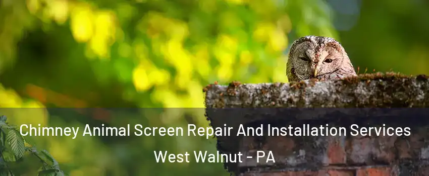 Chimney Animal Screen Repair And Installation Services West Walnut - PA