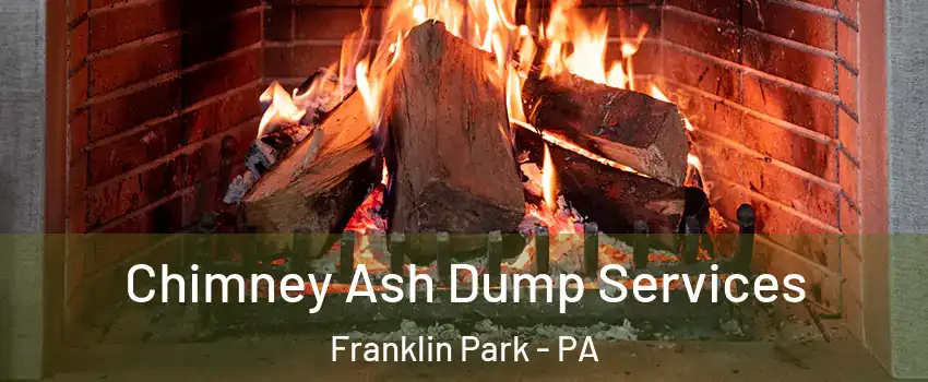 Chimney Ash Dump Services Franklin Park - PA