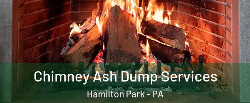 Chimney Ash Dump Services Hamilton Park - PA