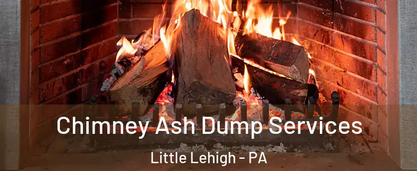 Chimney Ash Dump Services Little Lehigh - PA