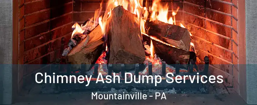 Chimney Ash Dump Services Mountainville - PA