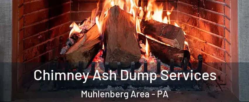 Chimney Ash Dump Services Muhlenberg Area - PA