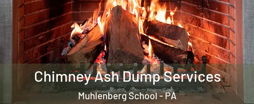 Chimney Ash Dump Services Muhlenberg School - PA