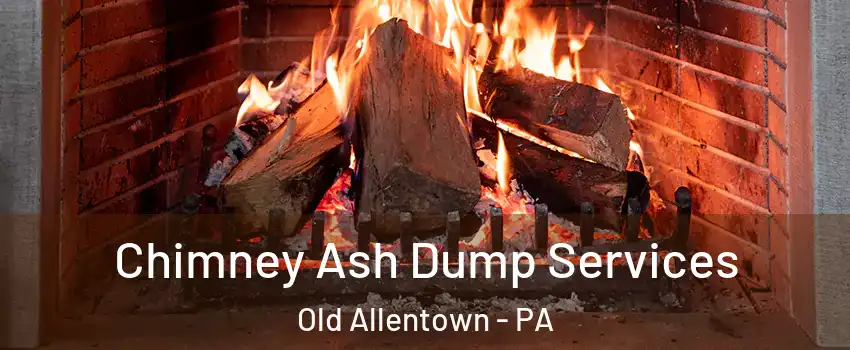 Chimney Ash Dump Services Old Allentown - PA