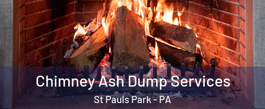 Chimney Ash Dump Services St Pauls Park - PA