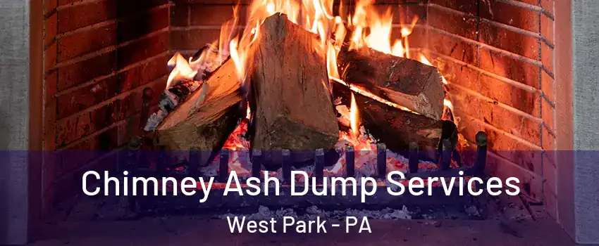 Chimney Ash Dump Services West Park - PA