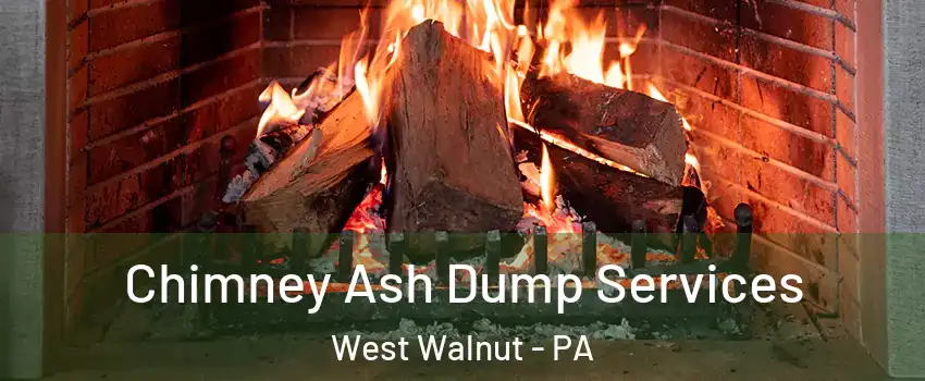 Chimney Ash Dump Services West Walnut - PA