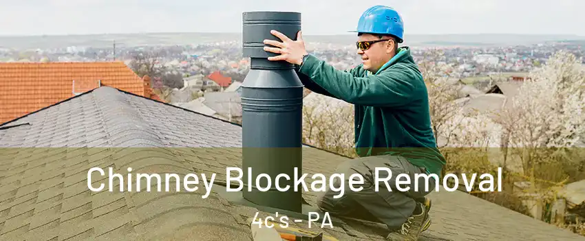 Chimney Blockage Removal 4c's - PA