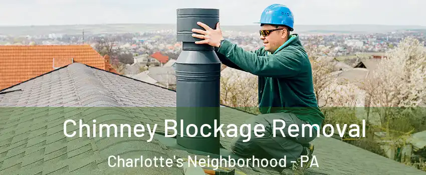 Chimney Blockage Removal Charlotte's Neighborhood - PA