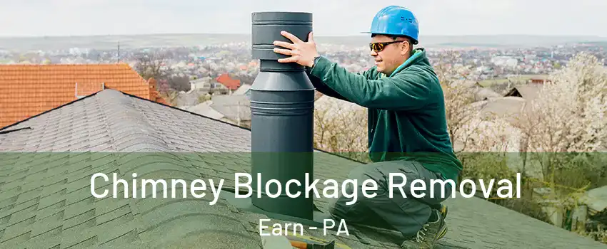 Chimney Blockage Removal Earn - PA